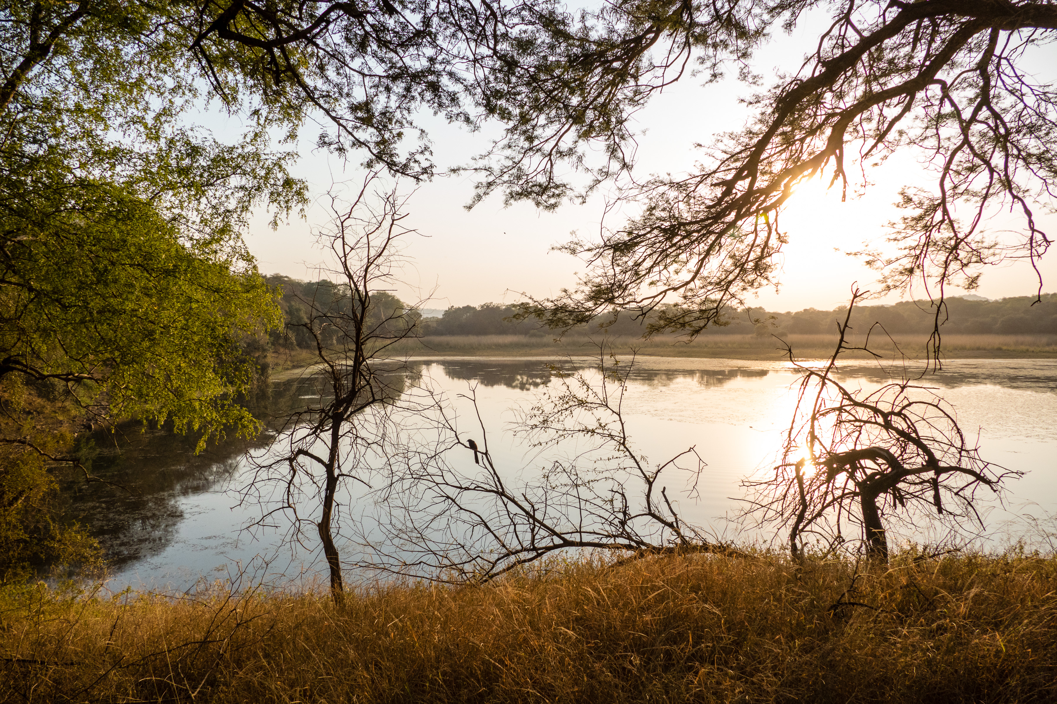 07 Ranthambore 5